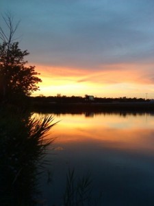 sunset2 sunset2